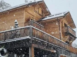 Luxueux chalet avec terrasse Auron