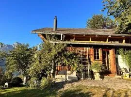 Gstaad Paradise View Chalet with Jacuzzi