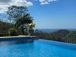 Casa Sol Azul - remarkable, ocean view 4 BR House in Potrero