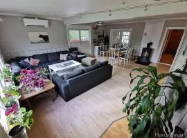 Hemsedal - 7 bedrooms
