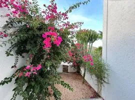 Casa Gata