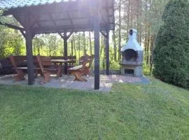 Dom letniskowy nad jeziorem Wigry Staw Suwalszczyzna