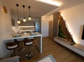 Calme rare en hypercentre - Appartement tout confort - Résidence historique de caractère