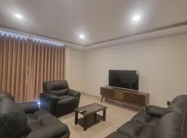 Departamento Céntrico y amplio