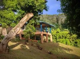 Potter House TSUKAMOTO Vue sur Baie de Maroe