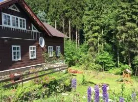 Holiday home in Desna - Isergebirge 1740