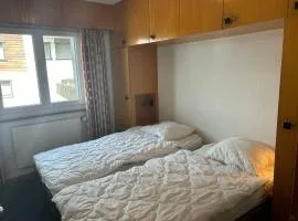 Valley apartment in Veysonnaz