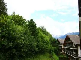 Apartment in Veysonnaz with Mountain Views