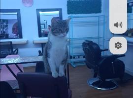 Magic, ξενοδοχείο σε Sahuayo de José María Morelos