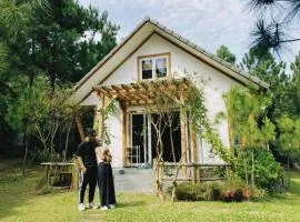 Nhà gác mái ven rừng gần Sân bay Nội Bài - Biệt thự con công