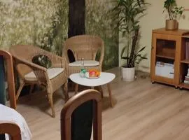 Apartament Multik