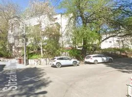 Propriete Eleven - Close to downtown, Spiridon Hospital, IRO Hospital