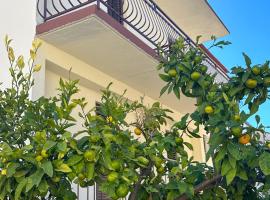 Niko Apartments, Hotel in Drvenik