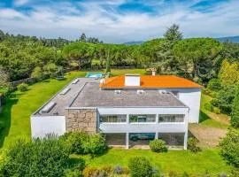 Portugal Active Oliveiras Farm