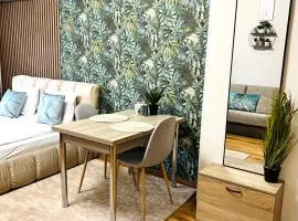 Vega Apartment