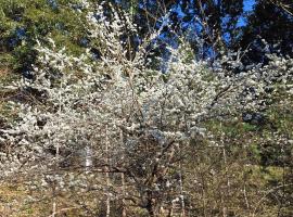 Nanzhuang Haoshanhaishui B&B, cabin in Hung-mao-kuan