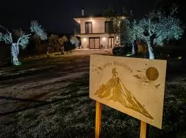 Villa Maximos