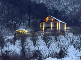 Saselisht Harmony 4 Bedroom Villa，位于波格拉德茨的酒店