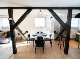 Le Cosy du Brasseur - Magnifique Duplex Schiltigheim, Proche Strasbourg
