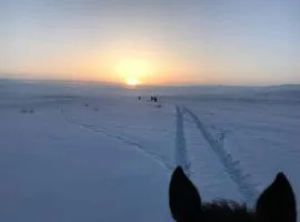 Horse riding&Kyzart Homestay
