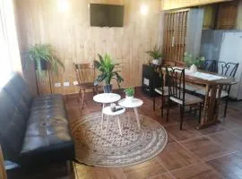 Apart Hotel a 10 min del Centro y Shopping