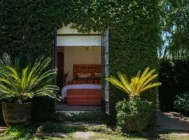 The Ivy Studio