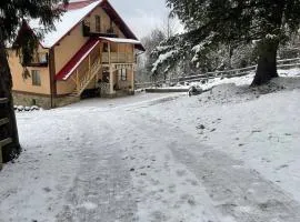 У Мироняка коло лісу