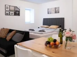 Apartmán DOMA na Lipně