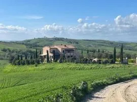 Podere Cedrola