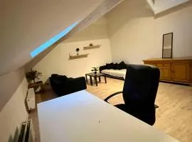 Lumineux Appartement - Quartier Louise