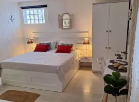 Apartments Teo 1