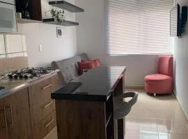 Cómodo Apartaestudio