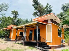 Star Garden Home