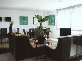 C&oacute;modo y C&eacute;ntrico Departamento familiar