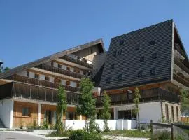 Apartment with shuttle bus to the ski lift