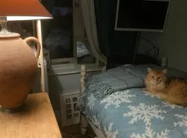 Comfy Cosy , Tv, mic, fridge