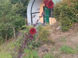 Ecoglamping Guatoc