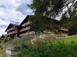Apartment in Veysonnaz near Ski Lift, hotel in Agettes