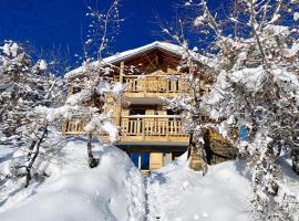 Chalet in 4 Vallées with Ski-In Access – hotel w mieście Les Collons