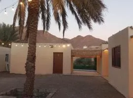 مزرعة نحل العسل