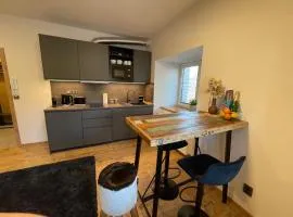 Apartment NAVI- Modern studio in Krkonoše foothills