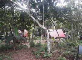 Cabañas Guachayasai