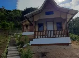 Manga's swimming pool