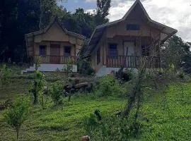 Manga's swimming pool