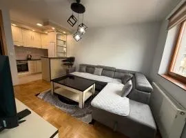 Apartment stan na dan Hilandarska