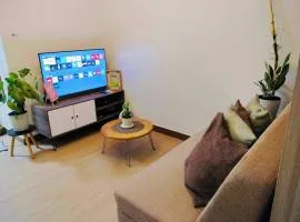 11 11 Suites Trees By SMDC
