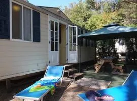 Camping Reale