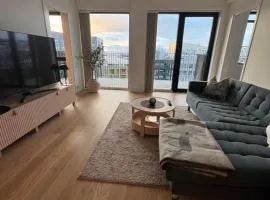 The Arctic Explorer Exclusive