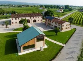 Borgo Paolin - Camere in vigna