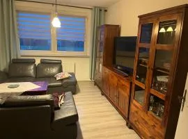 Charmante 2 Zimmer-Wohnung 55qm mit Gartenblick